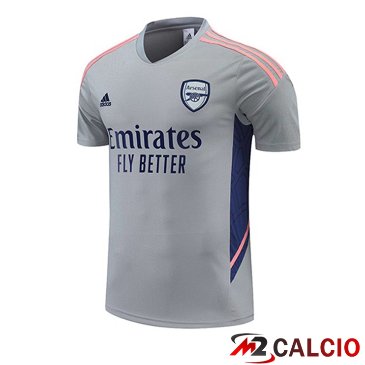 T Shirt Allenamento Arsenal Grigio 2022/2023