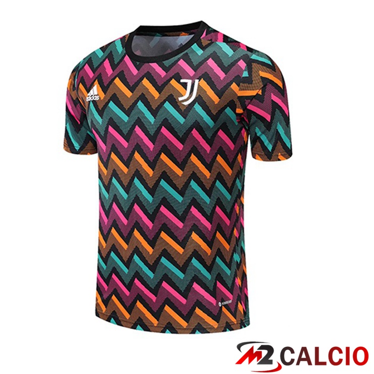 T Shirt Allenamento Juventus Verde Viola 2022/2023