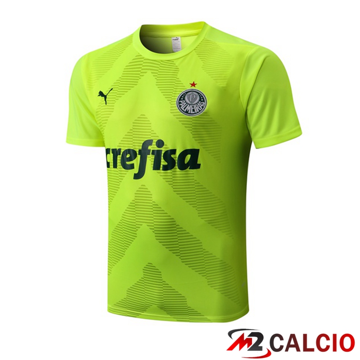 T Shirt Allenamento Palmeiras Verde 2022/2023