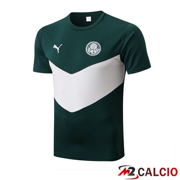 T Shirt Allenamento Palmeiras Verde 2022/2023