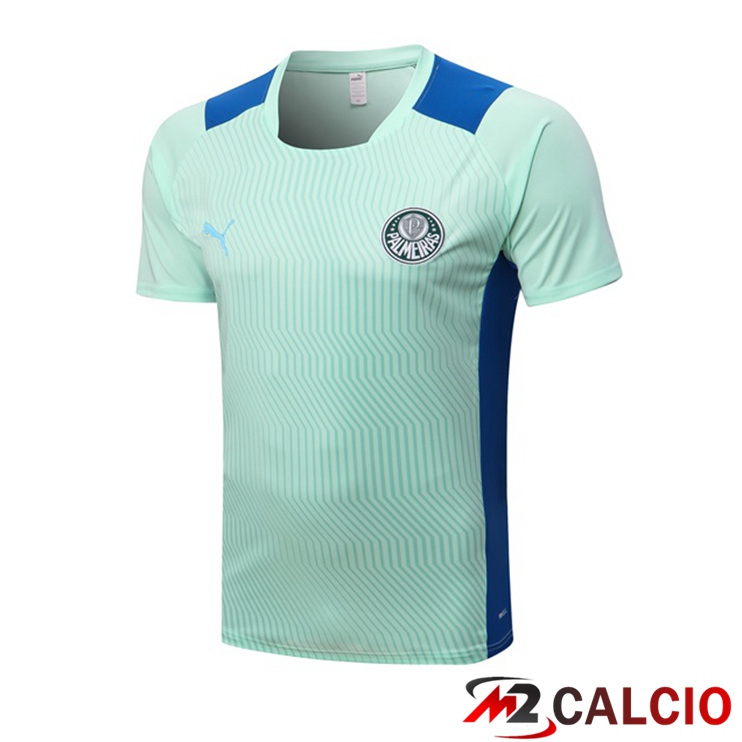 T Shirt Allenamento Palmeiras Verde 2022/2023