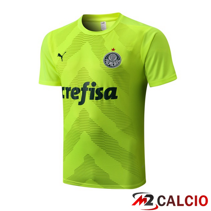 T Shirt Allenamento Palmeiras Verde 2022/2023