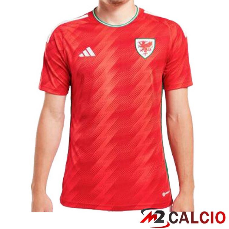 Maglie Calcio Galles Prima Rosso 2022/2023
