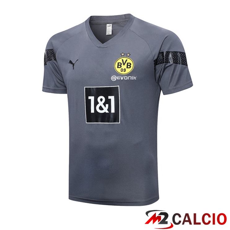 T Shirt Allenamento Dortmund BVB Grigio 2023/2024