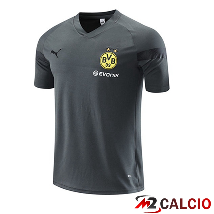 T Shirt Allenamento Dortmund BVB Grigio 2023/2024