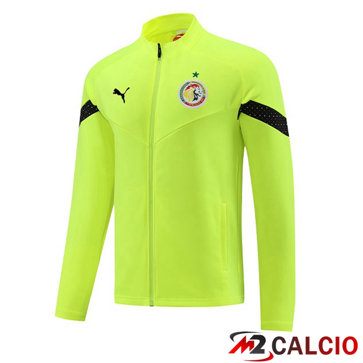 Giacca Calcio Senegal Verde 2023/2024
