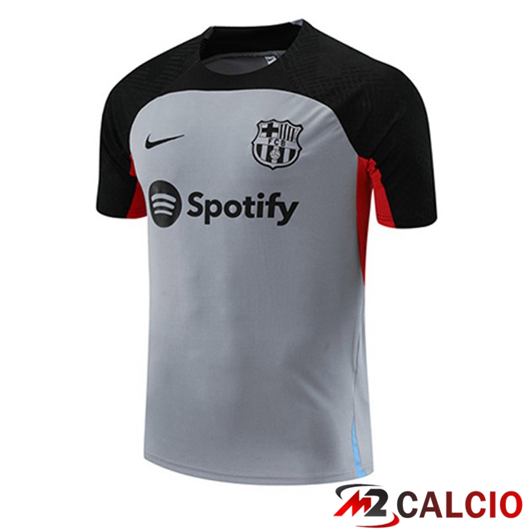 T Shirt Allenamento FC Barcellona Grigio 2023/2024