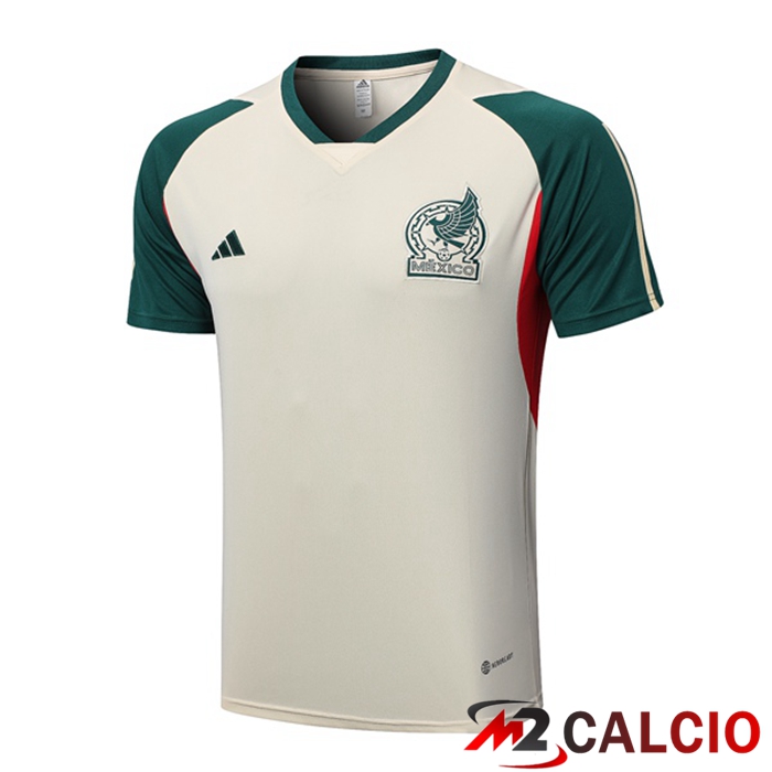 T Shirt Allenamento Messico Marrone 2023/2024
