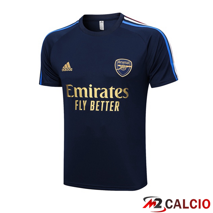 T Shirt Allenamento Arsenal Blu Reale 2023/2024