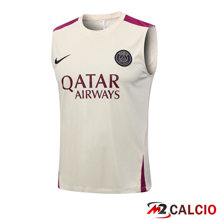 Canotta Calcio FC Barcellona Marrone 2023/2024