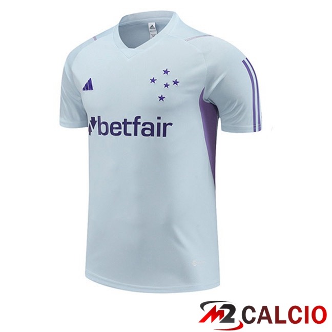 T Shirt Allenamento Cruzeiro EC Grigio 2023/2024