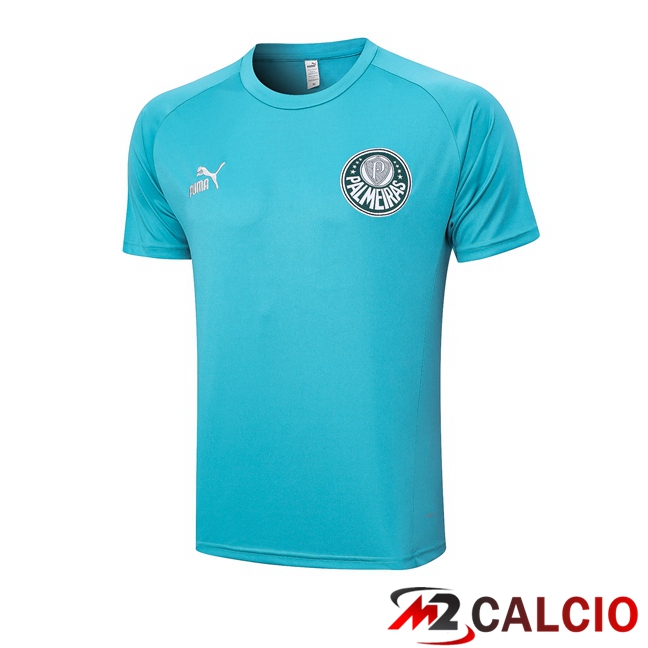 T Shirt Allenamento Palmeiras Cyan 2023/2024