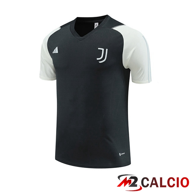 T Shirt Allenamento Juventus Grigio 2023/2024