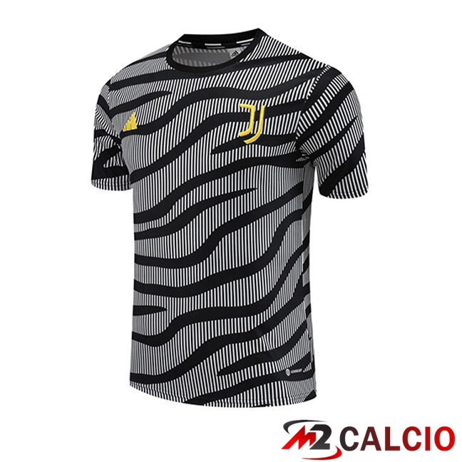 T Shirt Allenamento Juventus Nero Grigio 2023/2024