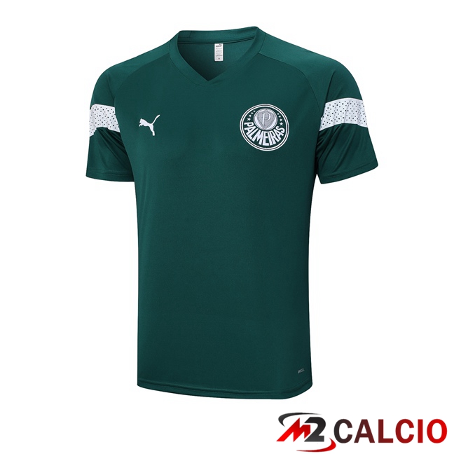 T Shirt Allenamento Palmeiras Verde 2023/2024