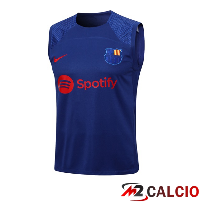 Canotta Calcio FC Barcellona Blu 2023/2024