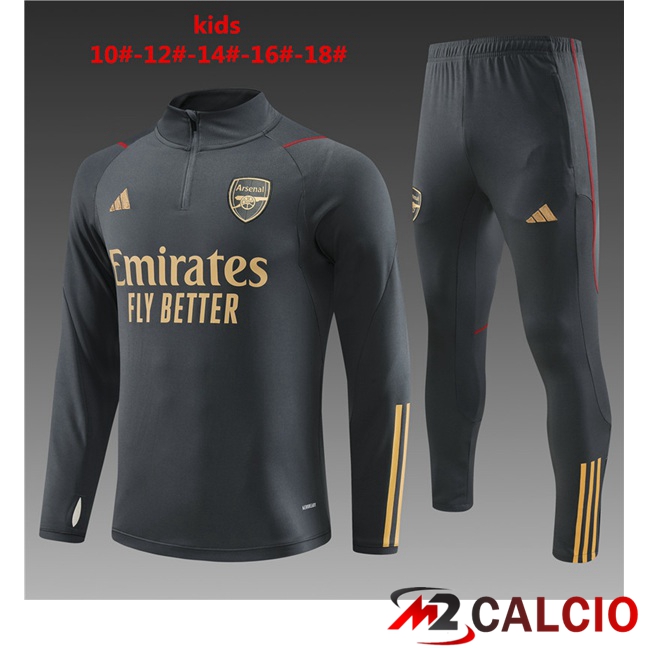 Insieme Tuta Calcio Arsenal Bambino Grigio 2023/2024