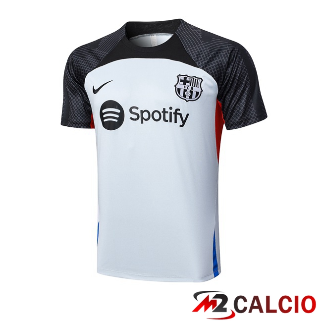 T Shirt Allenamento FC Barcellona Grigio 2023/2024
