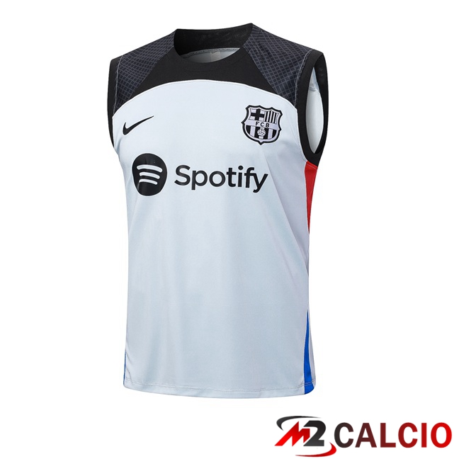 Canotta Calcio FC Barcellona Grigio 2023/2024