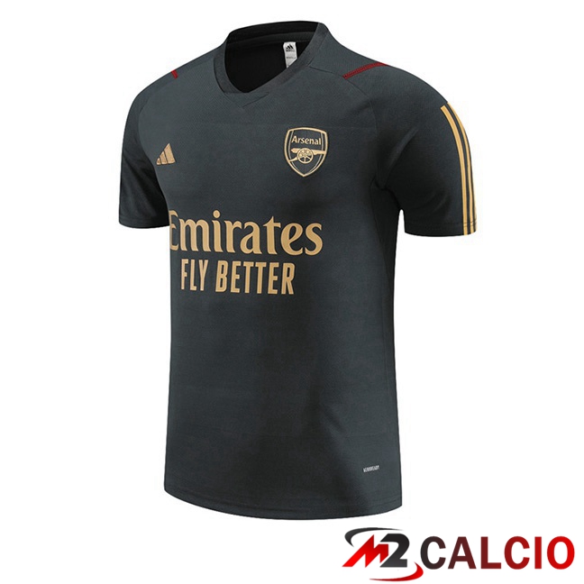 T Shirt Allenamento FC Arsenal Grigio 2023/2024