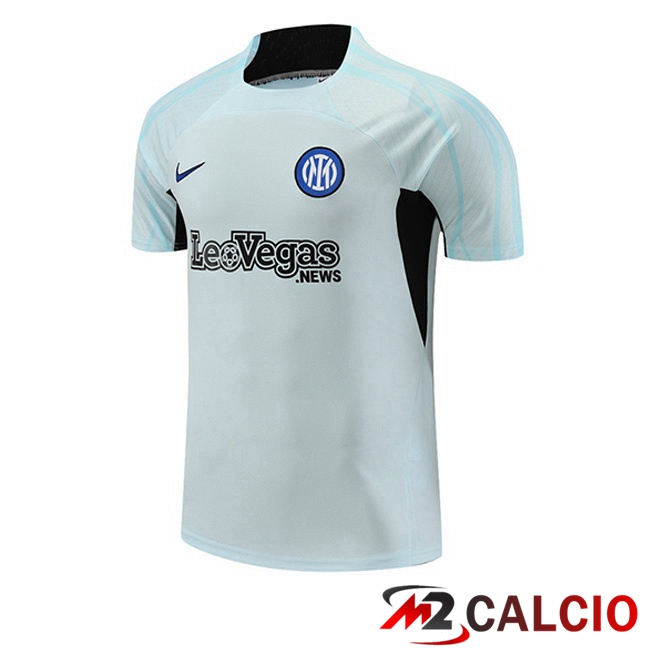 T Shirt Allenamento Inter Milan Grigio 2023/2024