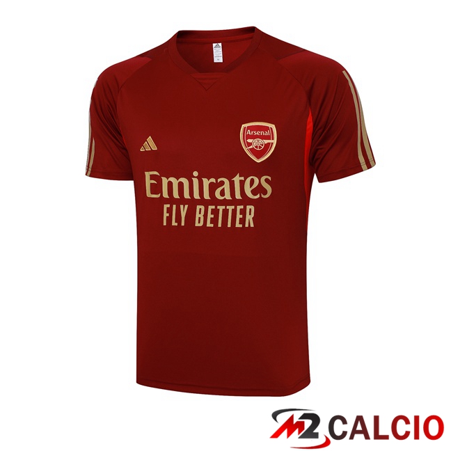 T Shirt Allenamento Arsenal Rosso 2023/2024
