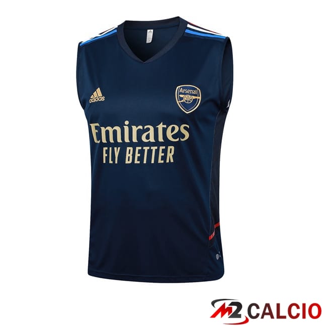 Canotta Allenamento Arsenal Blu Reale 2024/2025