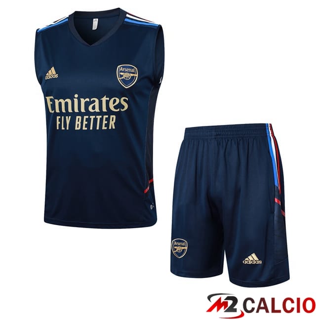 Canotta Allenamento Arsenal + Pantaloncini Blu Reale 2024/2025