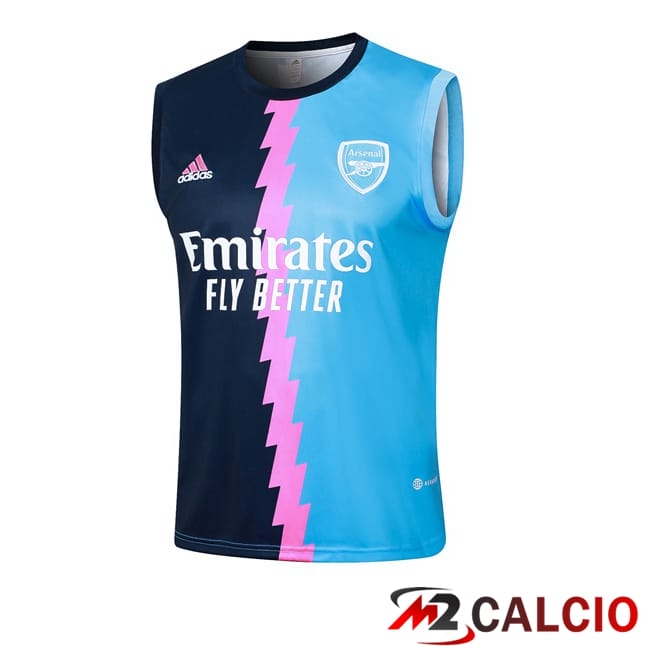 Canotta Allenamento Arsenal Blu 2024/2025