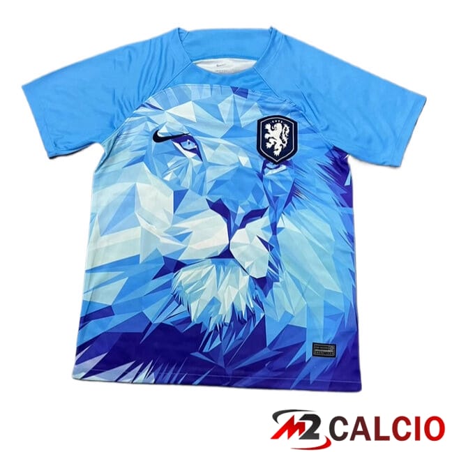 Maglie Calcio Paesi Bassi Edizione Speciale Blu 2024/2025