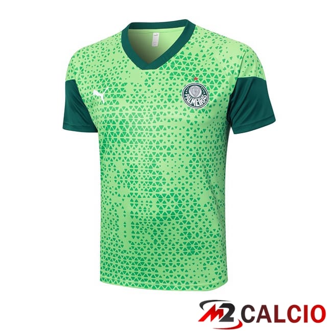 T Shirt Allenamento Palmeiras Verde 2024/2025