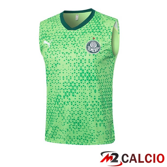 Canotta Allenamento Palmeiras Verde 2024/2025