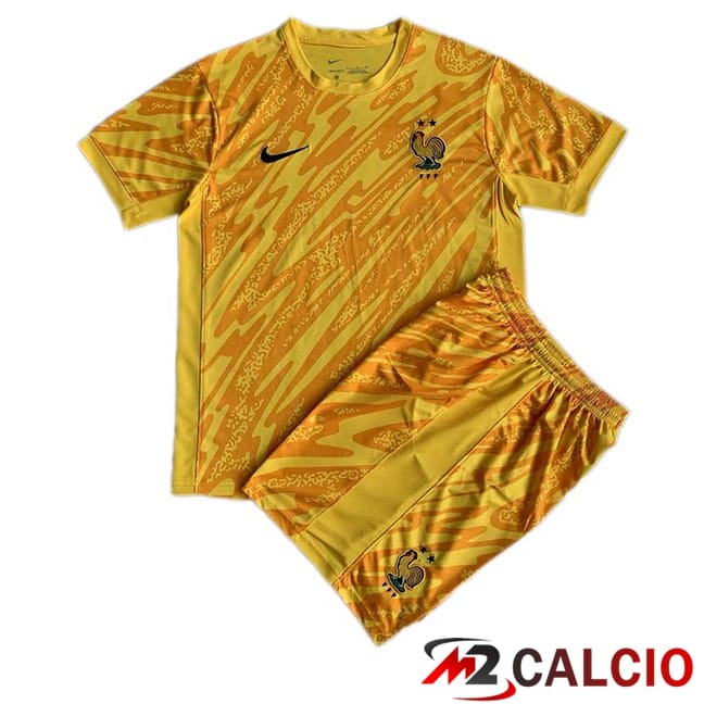 Maglia Nazionale Francia Bambino Portiere Giallo 2024/2025