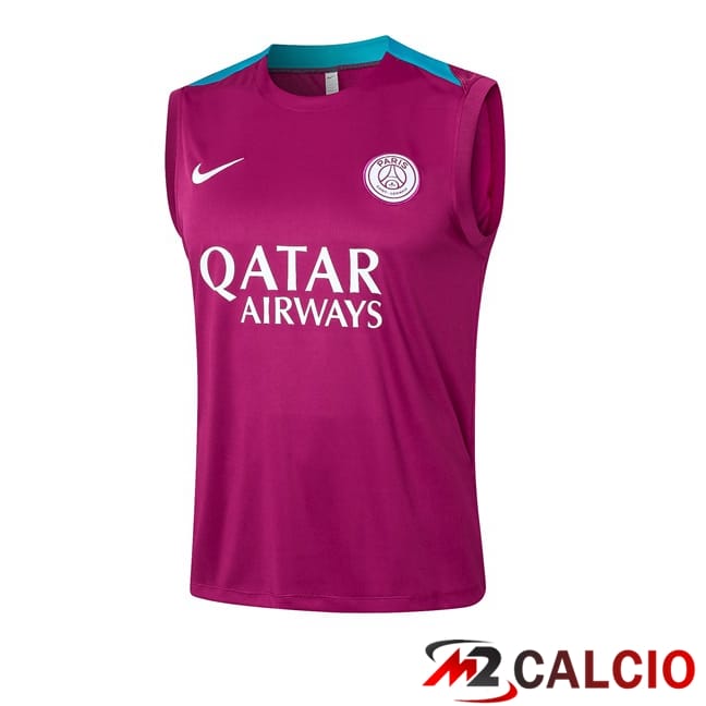 Canotta Allenamento Paris PSG Viola 2024/2025