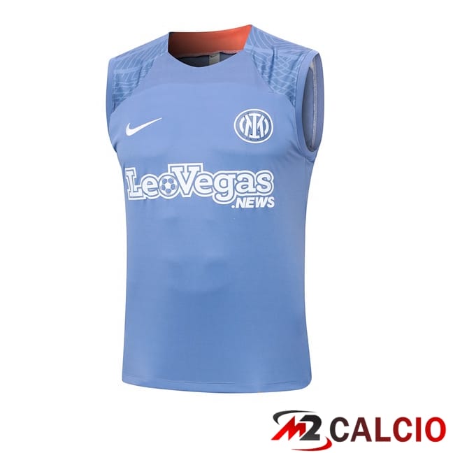 Canotta Allenamento Inter Milan Grigio 2024/2025
