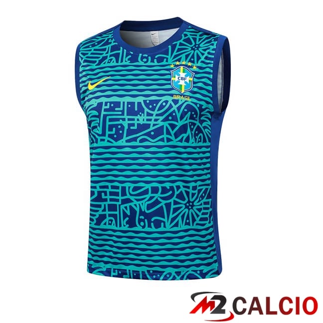 Canotta Allenamento Brasile Blu 2024/2025