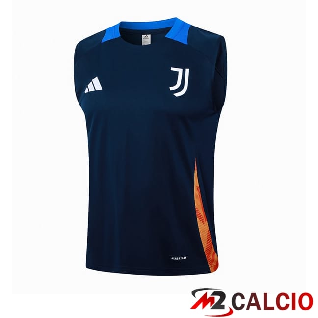 Canotta Allenamento Juventus Blu Reale 2024/2025