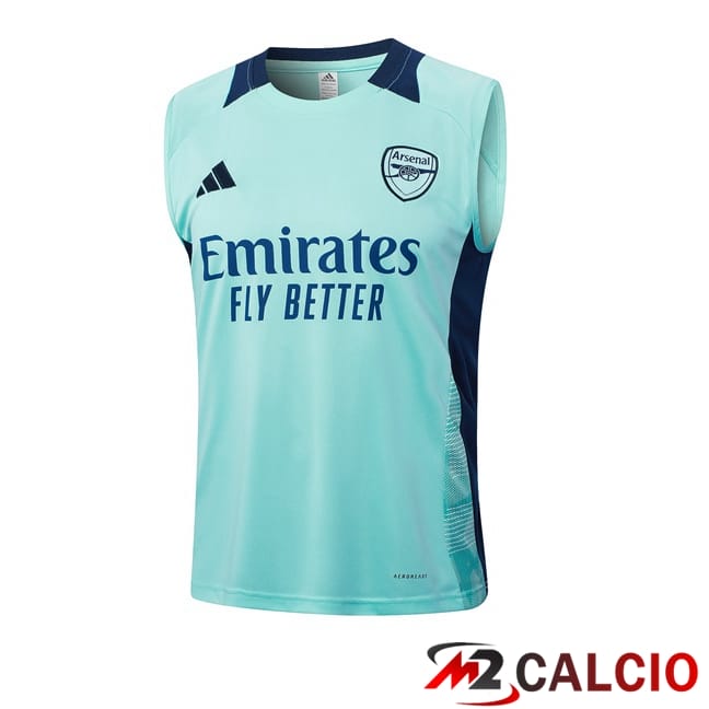 Canotta Allenamento Arsenal Blu 2024/2025