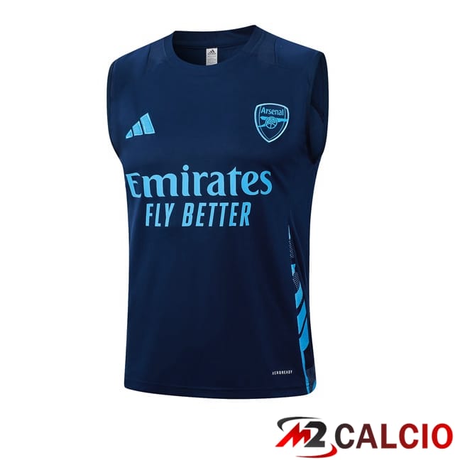 Canotta Allenamento Arsenal Blu Reale 2024/2025