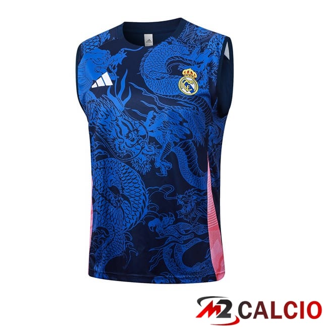 Canotta Allenamento Real Madrid Blu Reale 2024/2025