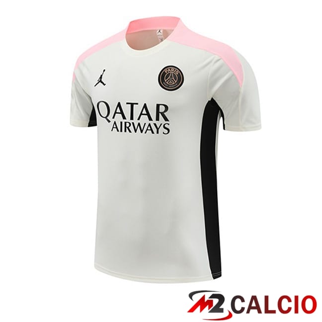 T Shirt Allenamento Paris PSG Grigio 2024/2025