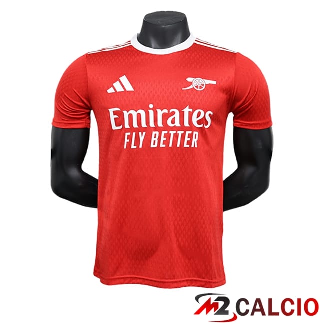 Maglie Calcio Arsenal Edizione Speciale Rosso 2023/2024
