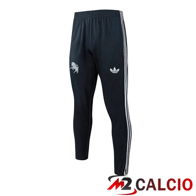 Pantaloni Da Allenamento Juventus Grigio 2025/2026