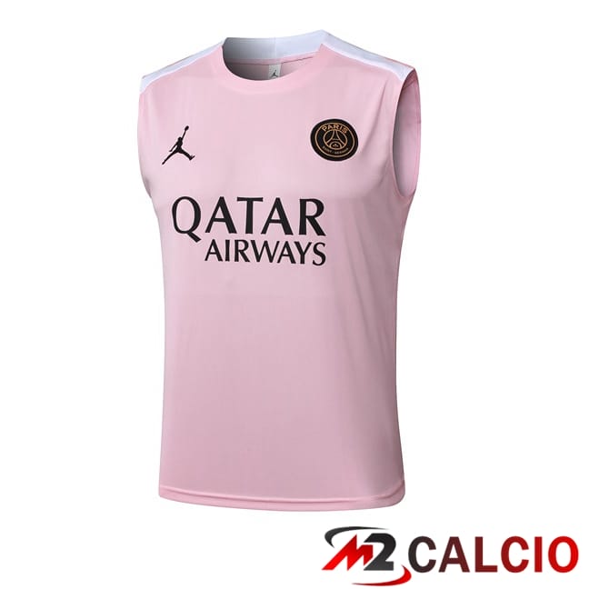 Canotta Allenamento Jordan Paris PSG Rosa 2025/2026