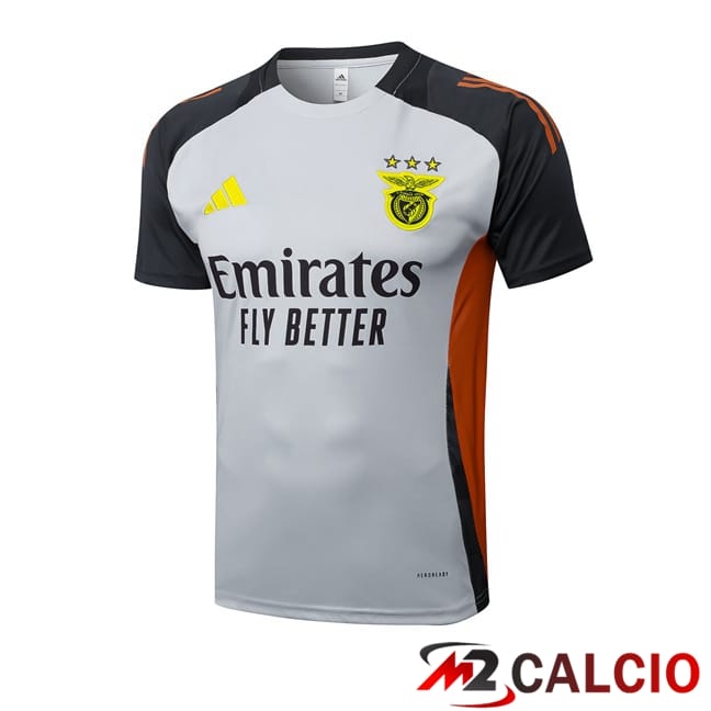 T Shirt Allenamento S.L Benfica Grigio 2025/2026
