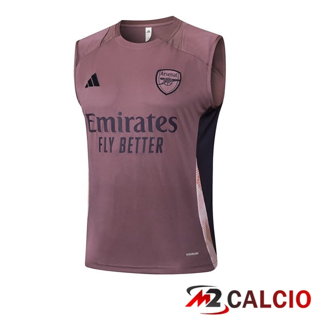 Canotta Allenamento Arsenal Viola 2025/2026