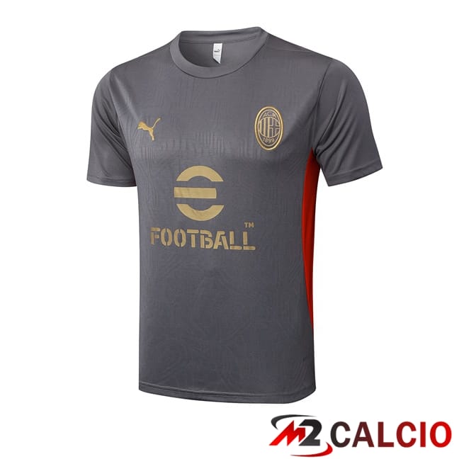 T Shirt Allenamento AC Milan Grigio 2025/2026