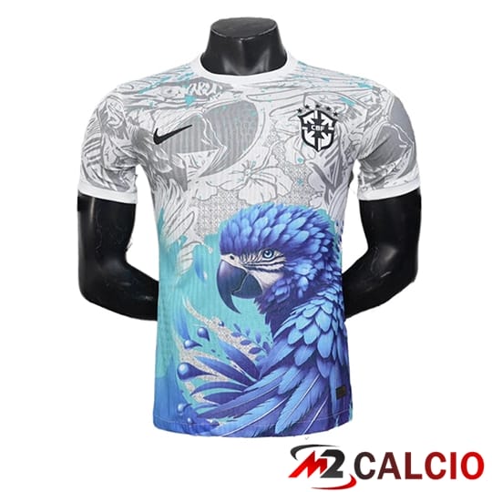 Maglie Calcio Brasile Edizione Speciale Grigio/Blu 2025/2026
