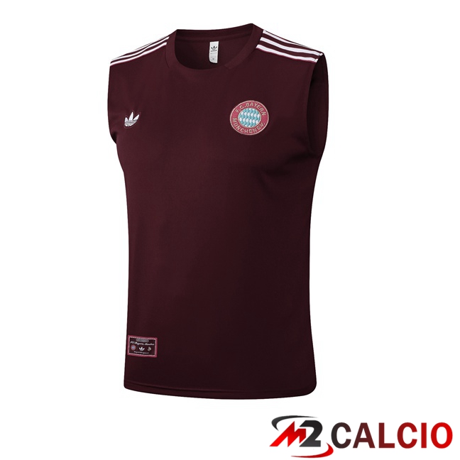 Canotta Allenamento Bayern Monaco Marrone 2025/2026