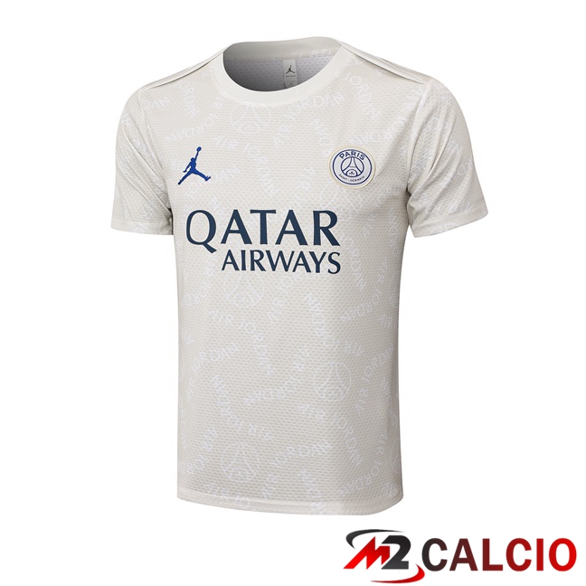 T Shirt Allenamento Jordan Paris PSG Grigio 2025/2026